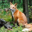 natureandgoodvibe avatar