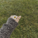 natureandgrace avatar