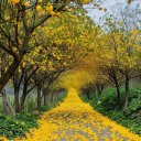 natureexplorer11 avatar