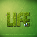 naturehero-blog avatar