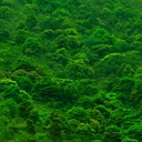 natureistheshiit avatar