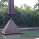 naturelephant avatar