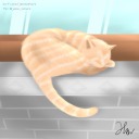 naturelifeparadise avatar