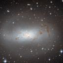 natureofidentity avatar