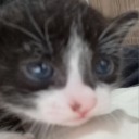 natynx avatar