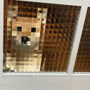 nauchtyweasel avatar