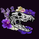 naught-skull avatar