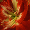 naughty-naughty-girls avatar