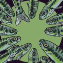 naughtyminnow avatar