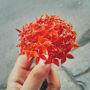 naughtyour-blog avatar