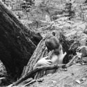 nausea-latens avatar