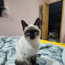 nauticalnotions avatar