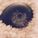 nautiluschamber avatar