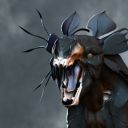 navi-in-disguise avatar