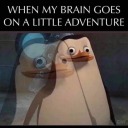 nayamariegomez avatar