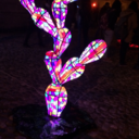 naye-carrasco avatar