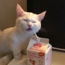 naztimesthree avatar