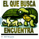 nbeja avatar