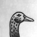 nbinthebin avatar