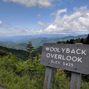 ncgphotographie avatar