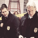 ncis-helps avatar