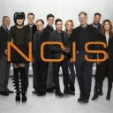 ncis-season-14 avatar