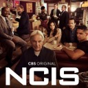 ncis-season-19 avatar