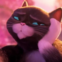 ndaplsdontfindmeppliknow avatar