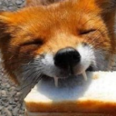 ndearingly-dizzy avatar