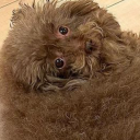 ndmcreations17 avatar