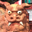 ndsl1110-blog avatar