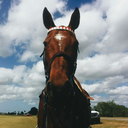 nearsidebackhand avatar