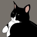 neat-little-artblog avatar