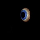 neatradioshowhost avatar