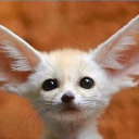 nebulagezegeni avatar