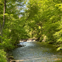 nebulousconstellationwriter avatar