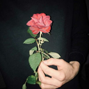 nebulousdivinity avatar