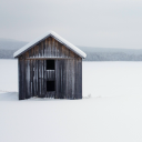 nectarlake-if avatar