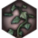 need-more-elfroots avatar