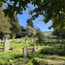 needanotherseason avatar