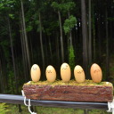 needartinearth avatar