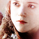 needle-longclaw avatar