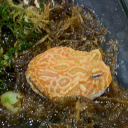 needleinthehaiiii avatar