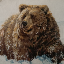 needlepointgrizzly avatar