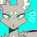 needletail-aesthetic avatar
