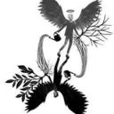 needleteedles avatar