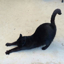 needsmoreplants avatar