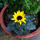 needtofindmyplaceintheworld avatar