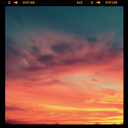 neekolaithefrenchfryguy avatar