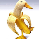 nefarious-looking-banana-duck avatar